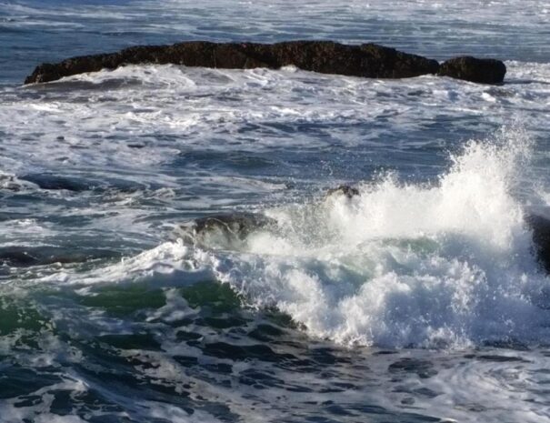 Waves